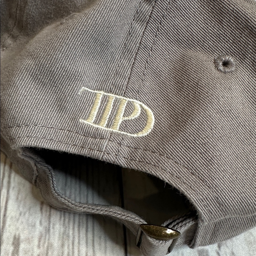 NWOT Taylor Swift TTPD The Tortured Poets Department Gray Dad Hat - Picture 7 of 8
